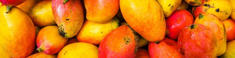 Wszystko o owocach mango z Crazy Box